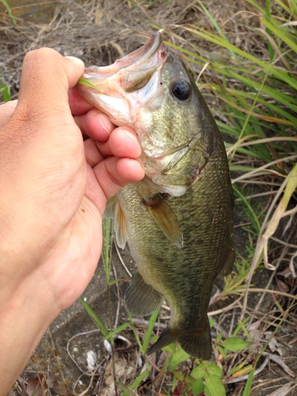 rblog-20140917175845-01.jpg