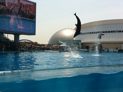 水族館　6.jpg