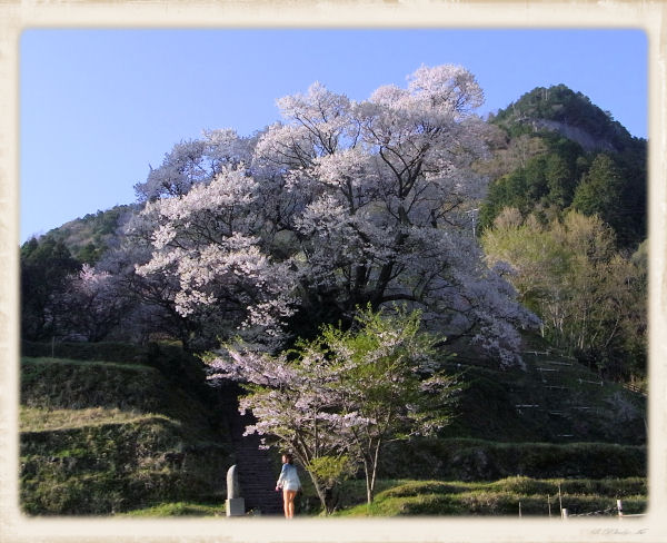 buturyujiyanen4