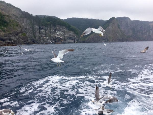 rblog-20160904172556-08.jpg