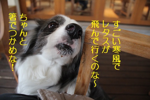 箸を使え