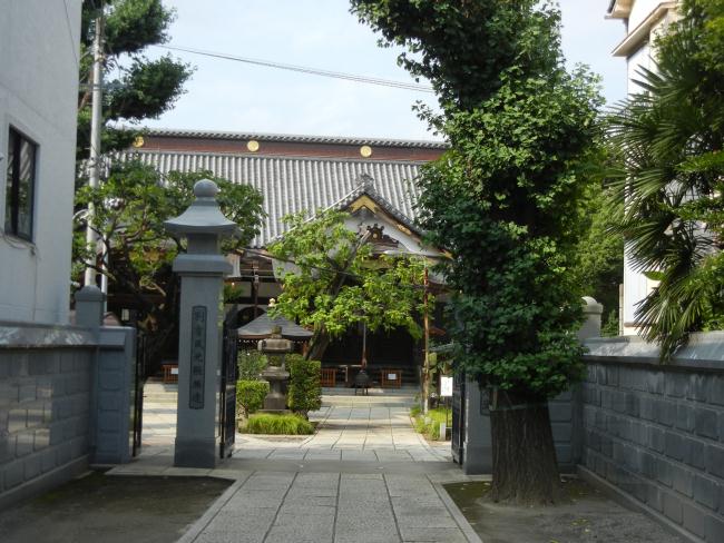 DSCN7394.JPG