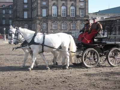 IMG_1870.jpg