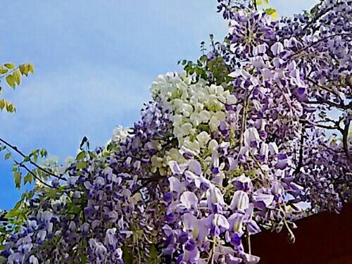 rblog-20170423111910-03.jpg