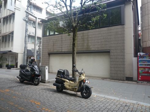 P1100428.JPG