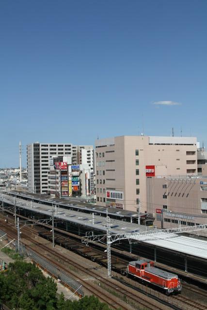 EF65 1115 品川チキ工臨返却＆DE102