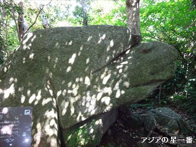 20150505 足摺岬　四万十川8