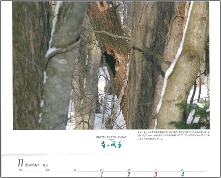 w 11-12月.jpg