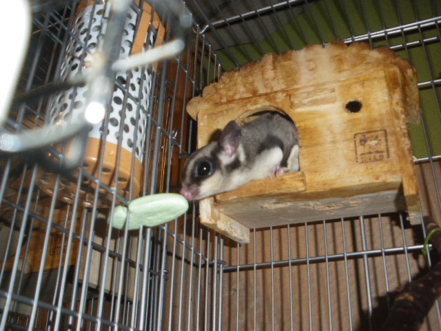 IMGP3817.JPG