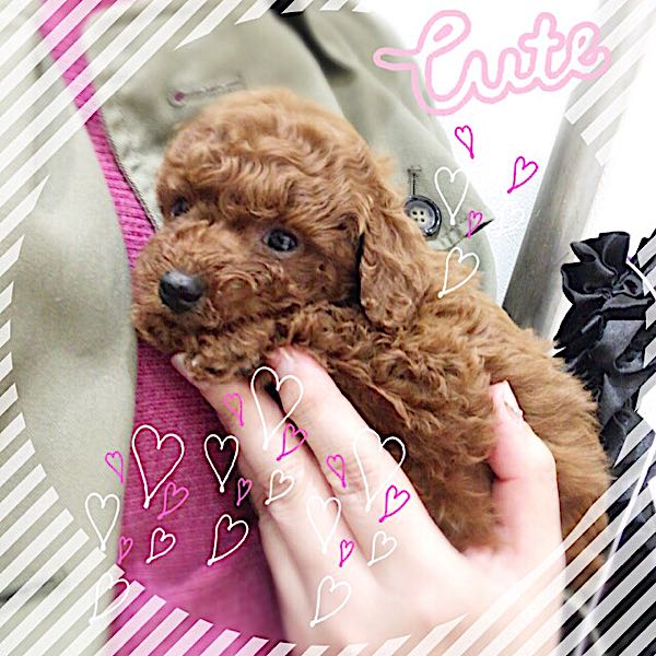 rblog-20170319233233-00.jpg
