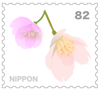 桜切手-中白.png
