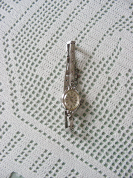 2017-03-21shibutu (1).JPG