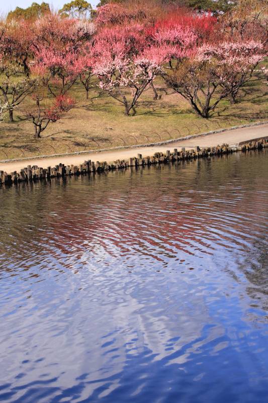緑ヶ丘公園_002.jpg