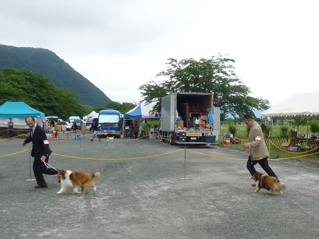 P1010395 - コピー.JPG