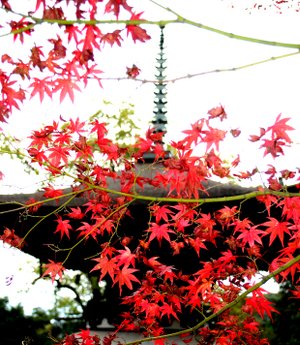 石山寺