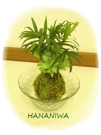 2012_0825トレッサ用寄せ植えとクレマチスの講座とカ0001.JPG