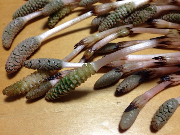 rblog-20140407001442-02.jpg