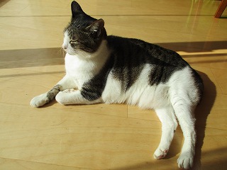 IMG_0664ss.jpg