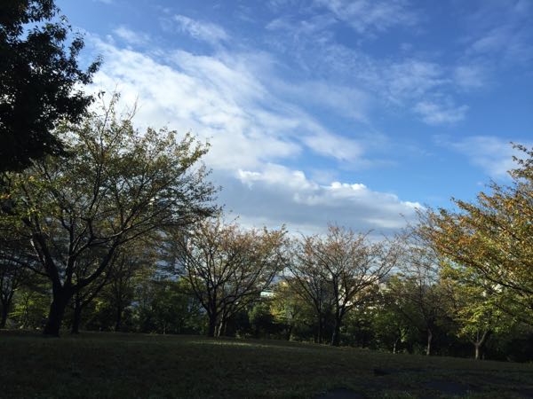 rblog-20161018075100-01.jpg