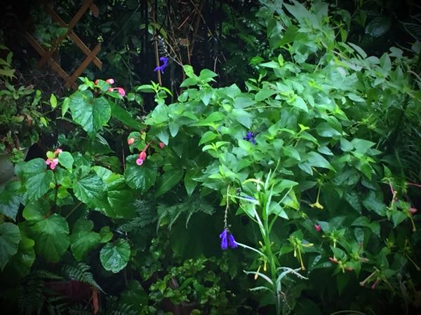 rblog-20150826083145-00.jpg