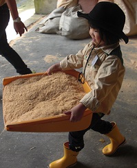 まかいの牧場３