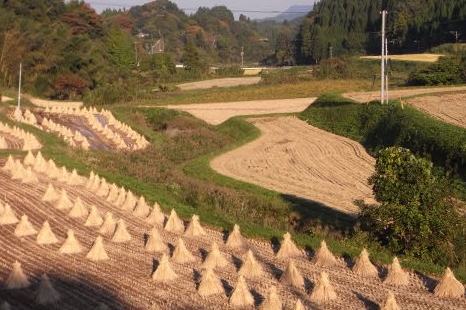 ホッとする風景です。