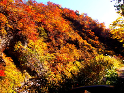 飛騨紅葉　3　10.18　2015　ｐ