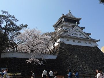 小倉城の花見 新よっちゃんの日記 楽天ブログ