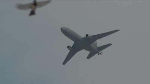 空中給油機 KC-10 エクステンダーとシジュウカラ