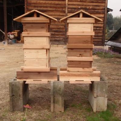 蜂の巣箱を創りました 天使と暮らす開運スピリチュアル生活 楽天ブログ
