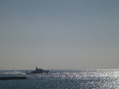 P1150118(1).JPG