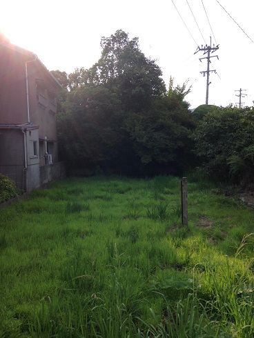 写真２.JPG