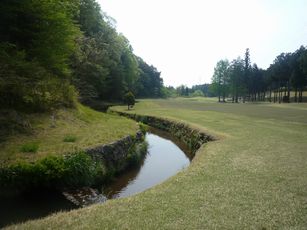 P1090261.JPG
