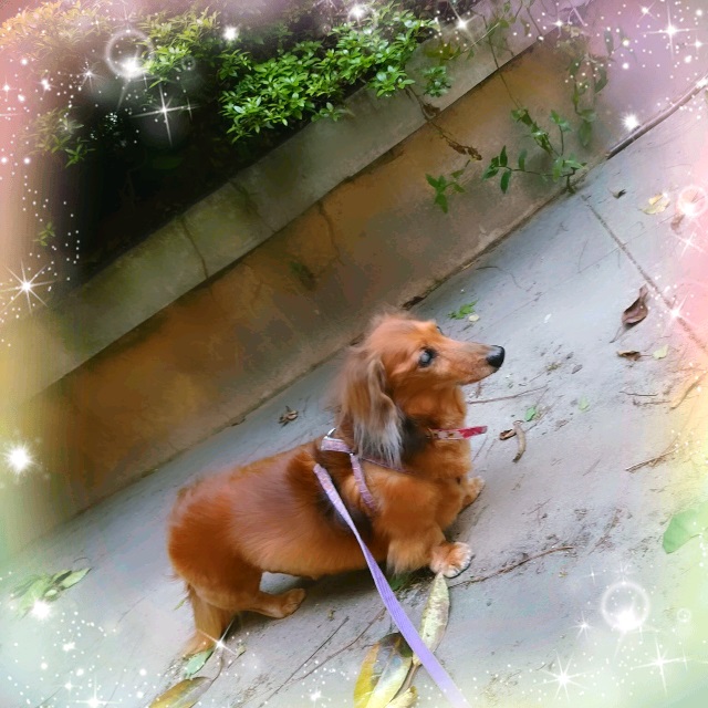 CUNPIC_20160430_174039.jpg