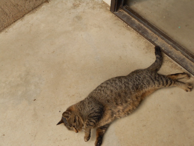 DSCN0963.JPG
