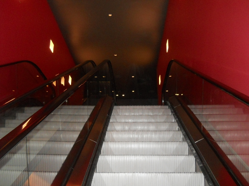 DSCN2620.jpg