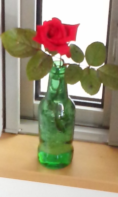 寄せ植え7.jpg