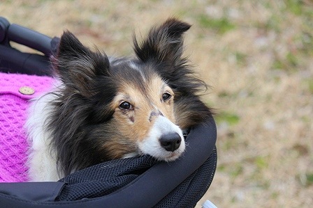 IMG_6703.jpg