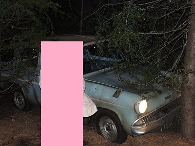 ハリーポッター車