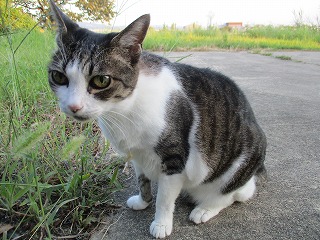 IMG_8550ss.jpg