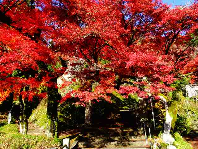 DSC08137_R.JPG