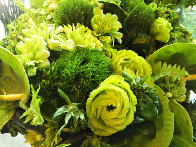 HSP低所得ひとり暮し。医療費なしで持たせる方法