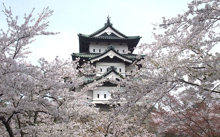 2012東北の桜巡り（弘前公園１）.jpg