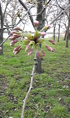 150404_071635.jpg