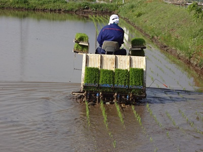 田植え機