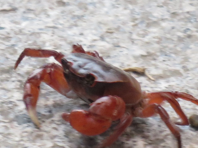 IMG_5069.JPG