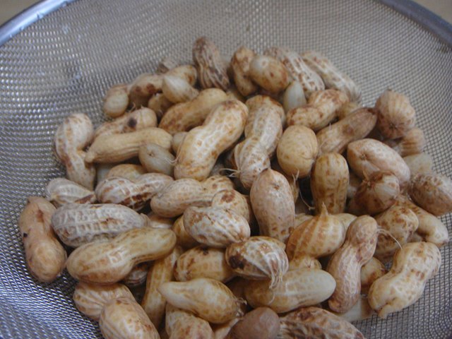 DSC07297_R.JPG