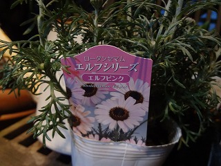 DSC03456.jpg