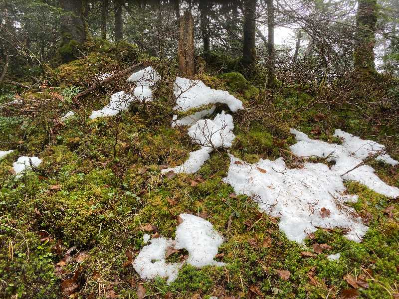 北八ヶ岳・天狗岳（2646m）（1）雪と霧氷 | 醍醐山と下部（しもべ）温泉 - 楽天ブログ