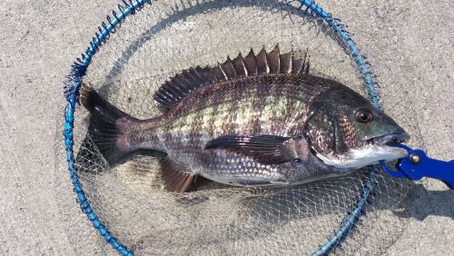 rblog-20140331143150-02.jpg